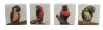 Set of 4 Parrot Coasters - Botticino Marble