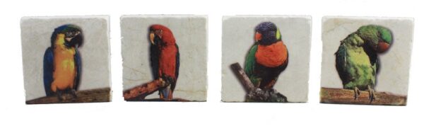 Set of 4 Parrot Coasters - Botticino Marble