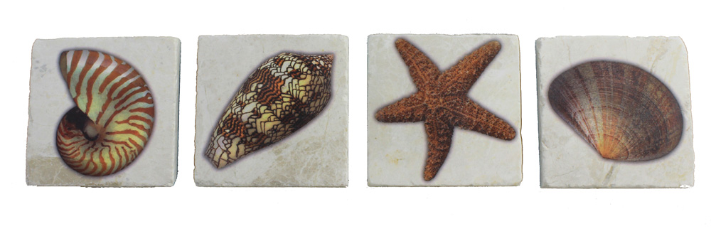 CI006-seashell-marble-coasters Set of 4 Sea Shell Coasters - Botticino Marble