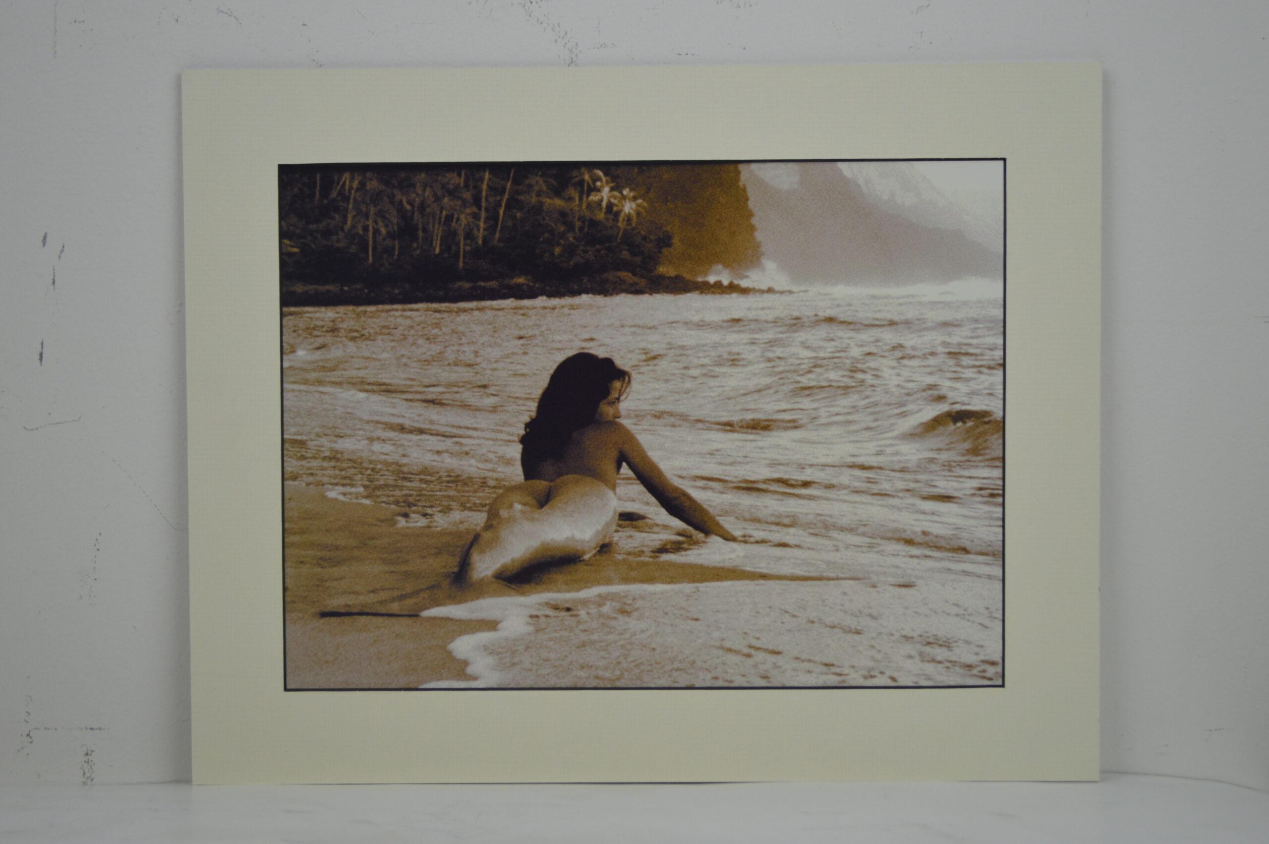 DSC_1396 Seldom Scene Matted Print 11"H x 14"L - Image 1