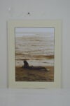 Sands of Time Matted Print 11"L x 14"H