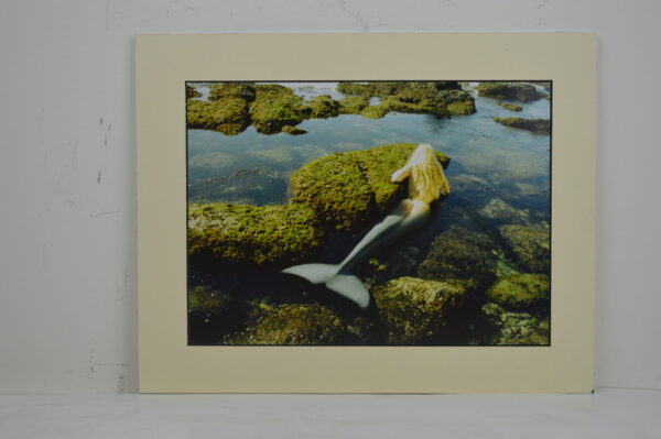 Skimming the Surface 11"H x 14"L Matted Print