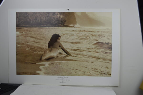 Seldom Scene Mermaid Poster 2' x 3'