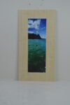 Emergence 10"L x 20"H Weaved Grass Matte Frame around Giclee Print Dark Matte