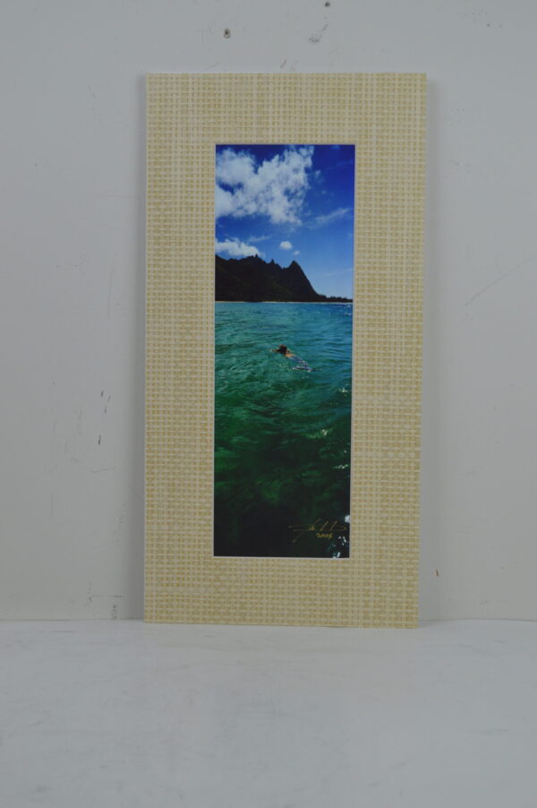 Emergence 10"L x 20"H Weaved Grass Matte Frame around Giclee Print Dark Matte