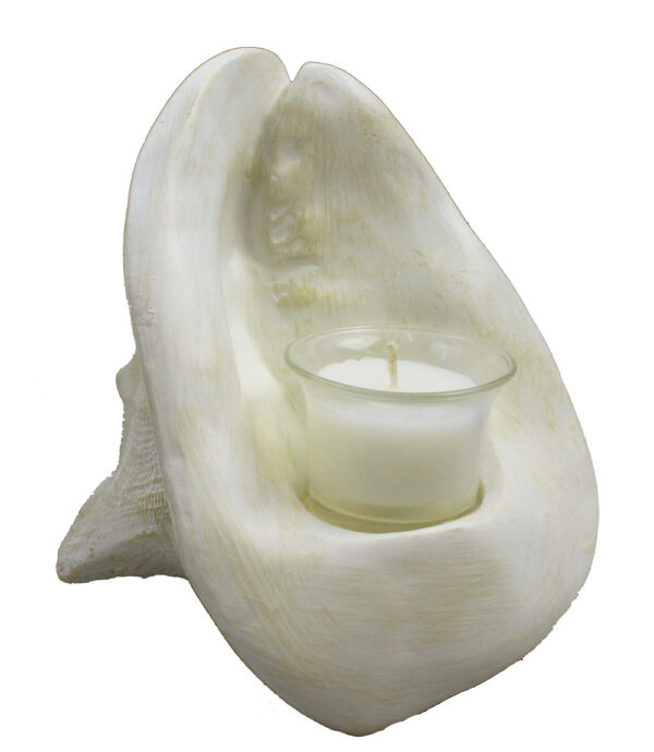 11" Resin Shell Votive Candle Holder