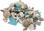 Seashells and Seaglass Mixed Bags, Real Seashells, Decorative Accents for Home or Office