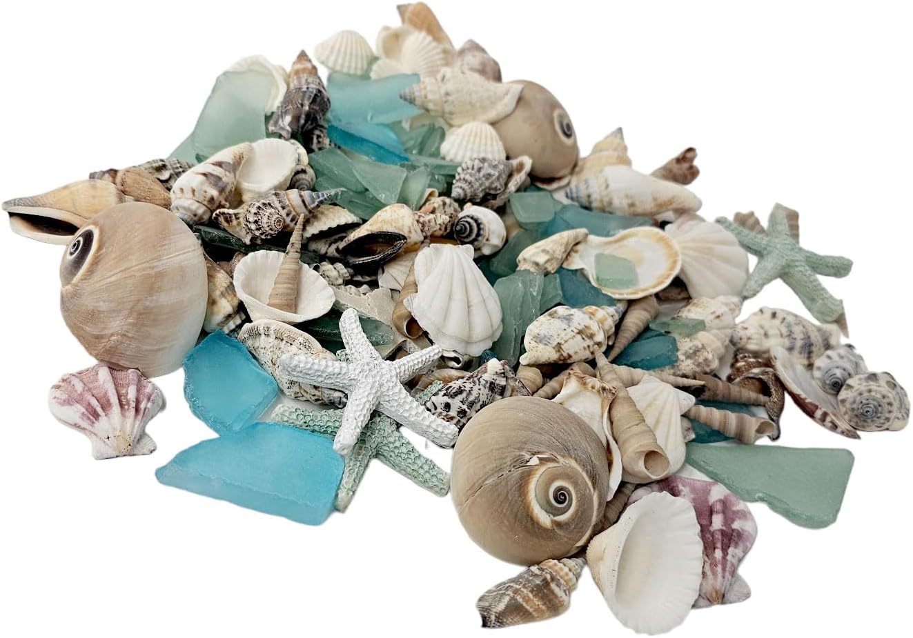 FT148 Seashells and Seaglass Mixed Bags, Real Seashells, Decorative Accents for Home or Office - Image 1