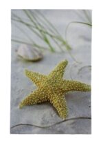 11 3/4" Seashell Starfish Canvas Print - Hanging Wall Decor
