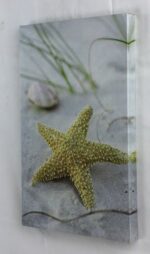 11 3/4" Seashell Starfish Canvas Print - Hanging Wall Decor - Image 2