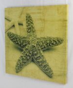 16" Sepia Starfish Stretched Canvas Print - Hanging Wall Decor - Image 2