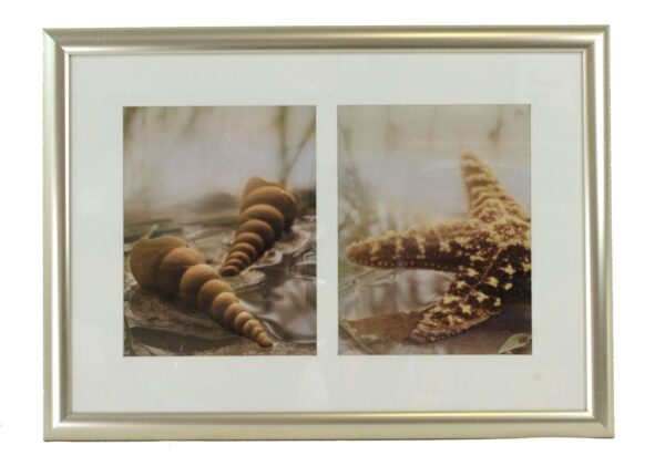 21.5" Starfish Duo Framed and Matted Print - Hanging Wall Art