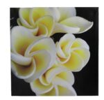 9.5" Plumeria Flower Closed Stretched Canvas - Hanging Wall Art