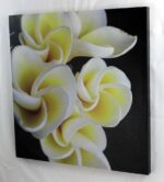 9.5" Plumeria Flower Closed Stretched Canvas - Hanging Wall Art - Image 2