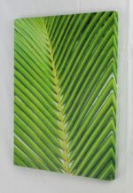 15.75" Palm Leaf Stretched Canvas Print - Hanging Wall Art Decor - Image 2