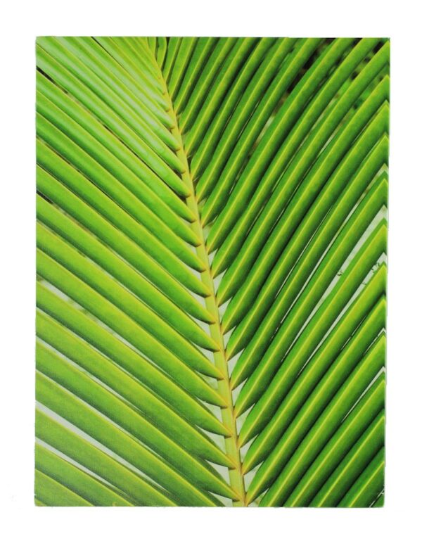 15.75" Palm Leaf Stretched Canvas Print - Hanging Wall Art Decor