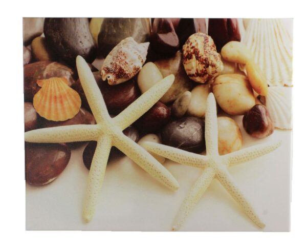 20" Starfish Stretched Canvas Print - Hanging Wall Decor