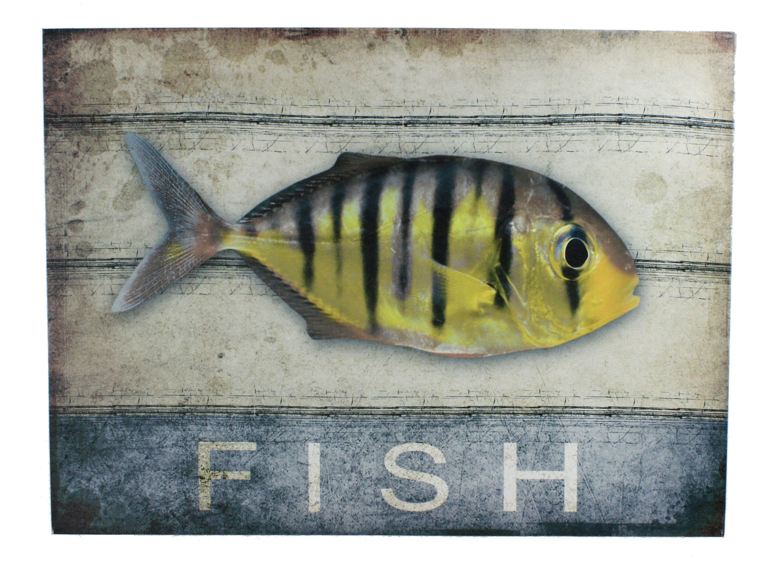 GC057-striped-fish-wall-canvas 18" Striped Fish Stretched Canvas - Hanging Wall Decor - Image 1