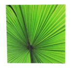 11" Canvas Leaf Print - Hanging Wall Decor