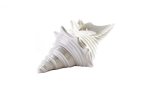 GC066-spiky-shell-candle-holder 7" SPIKY Shell Candle Holder