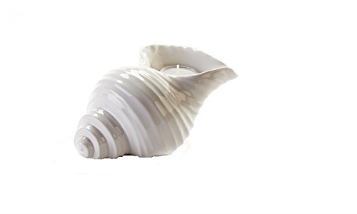 GC066B-smooth-conch-shell-candle-shell 7" SMOOTH Conch Shell Candle Holder