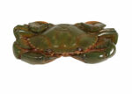 Large Crab Figure Realistic Decorative Sculpture 2 Ft Green - Image 2