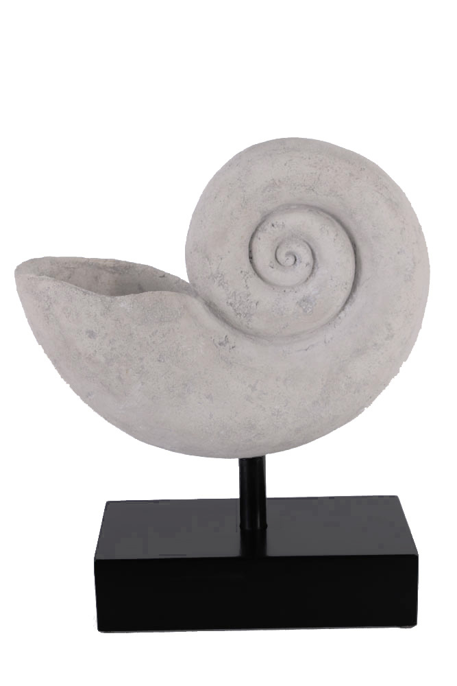 HX021-roman-stone-finish-large-nautilus-shell-figure-on-base Large Nautilus Sculpture on Stand Seashell Statue Roman Stone - Image 1