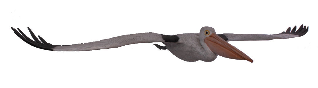 HX129-86-inch-flying-pelican-large-sculpture Flying Pelican 86.75-inch - Image 1