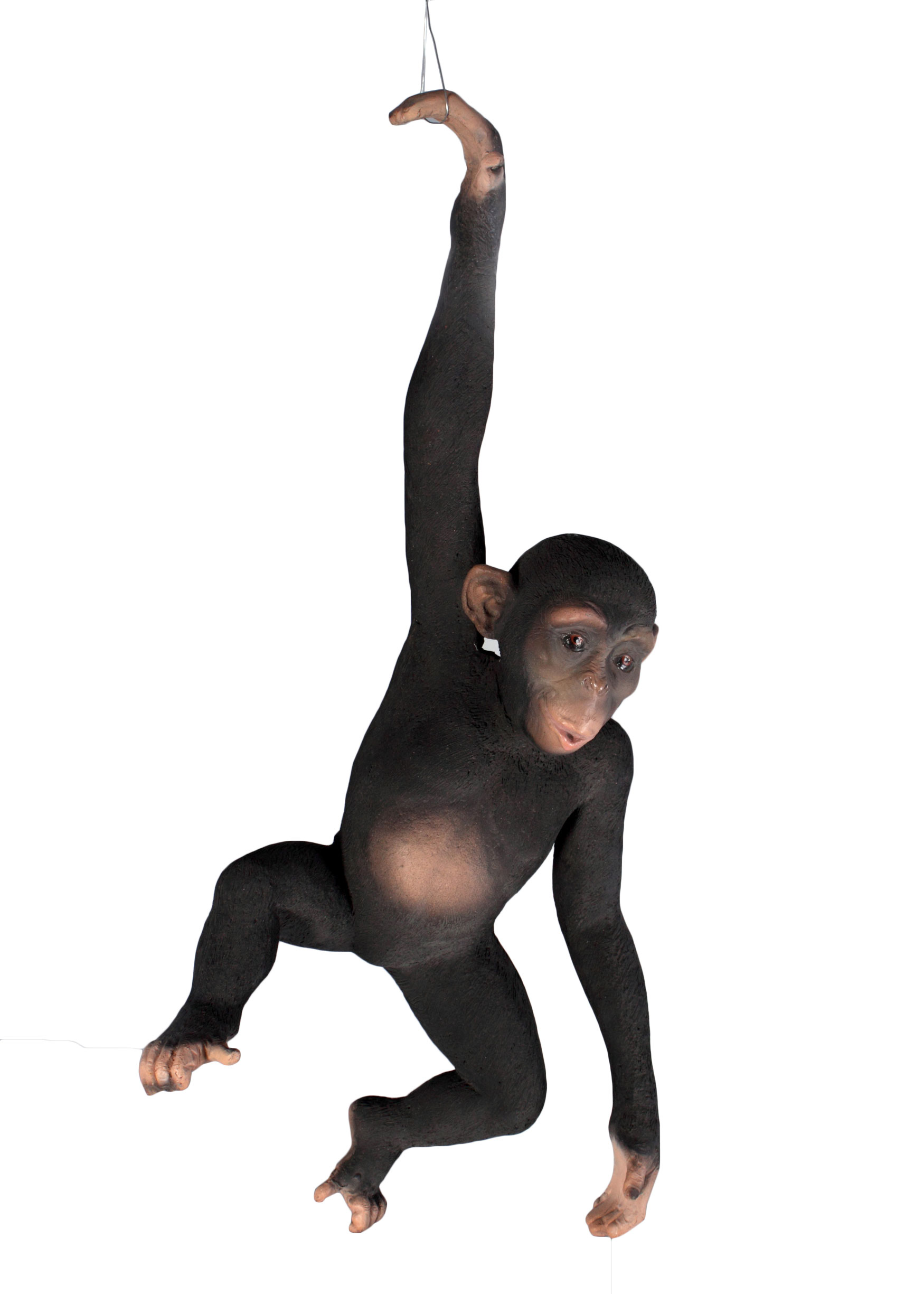 HX152_1 Hanging Monkey - Image 1