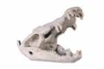 Crocodile Skull Large Replica Sculpture