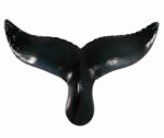 21” Natural Finish Whale Tail Wall Sculpture