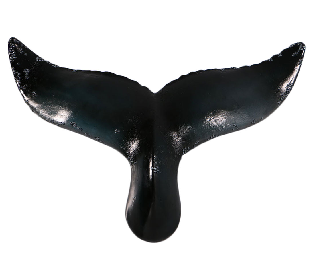 HX301-1 21” Natural Finish Whale Tail Wall Sculpture - Image 1