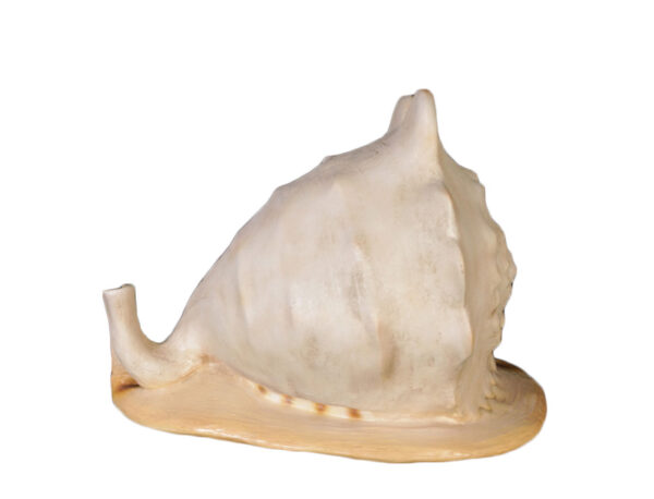 Extra Large Helmet Shell Replica