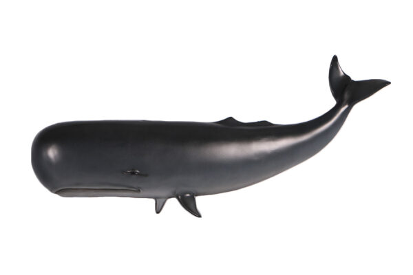 Whale Large Wall Decor Sculpture Painted Finish