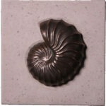 Nautilus Shell Wall Plaque, Bronze Finish Shell on Roman Stone Square Base