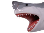 Great White Shark Head Trophy Wall Sculpture Decor 22"W - Image 2