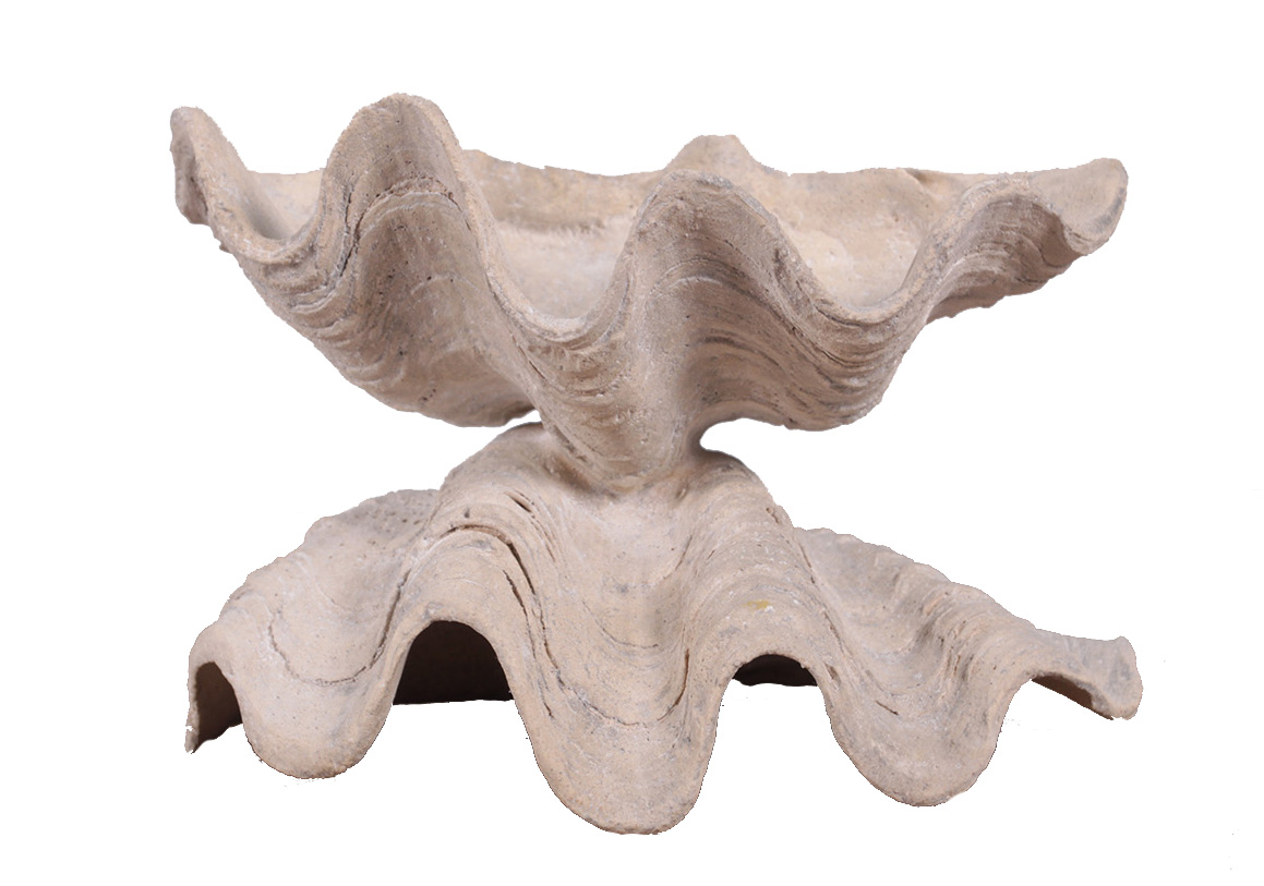 HX399-roman-stone-finish-elegant-clam-bowl 10"L Roman Stone Finish Elegant Clam Bowl - Image 1