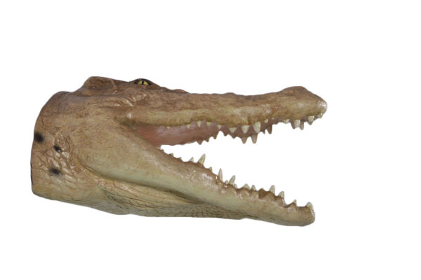 Nautical Tropical Imports Crocodile Head Large Trophy Wall Sculpture Decor