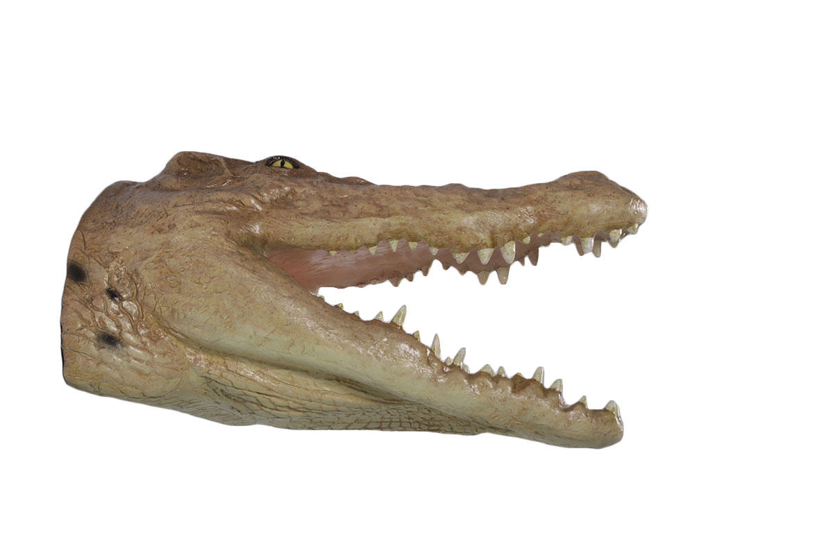 HX459-1 Nautical Tropical Imports Crocodile Head Large Trophy Wall Sculpture Decor - Image 1