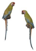 Buffon’s Macaws Set of 2 Wall Sculptures Great Green Military Parrots