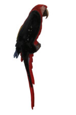 Scarlet Macaw Wall Sculpture - Image 5