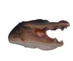 Alligator Head Large Trophy Wall Sculpture Decor