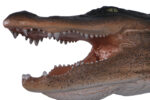 Alligator Head Large Trophy Wall Sculpture Decor - Image 2