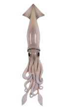 Squid Wall Sculpture (Natural)