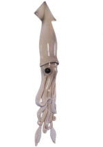Squid Wall Sculpture (Natural) - Image 4