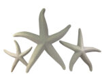 Starfish Trio Small Medium Large Wall Decor (Natural)