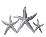 Starfish Trio Small Medium Large Wall Decor (Silver)