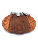 Acacia Clam Shell Tray