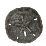 Set of 3 Large ANTIQUE SILVER Urchin Sand Dollar Wall Hanging Sculptures - Image 4