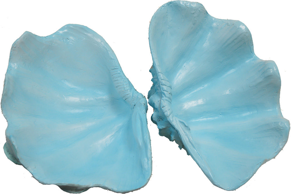 IH036-blue-green-wash-2-piece-large-clam Large Resin Clam 2 Piece Blue and Green Wash Finish 13”W - Image 1